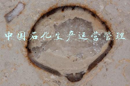 中国石化项目管理公司(海峡两岸合资的福建漳州古雷炼化一体化项目投产)