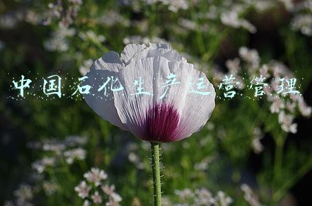 中国石化销售(中国石化：集中巡视油品销售企业)