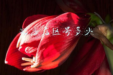 瓦房店区号多少