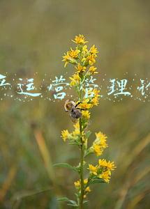 生产运营管理论文