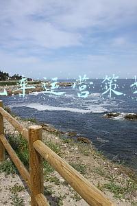 汽车运营策划