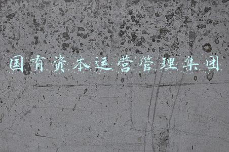 国有资本运营管理集团