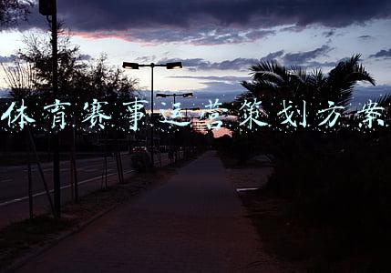体育赛事营销策划方案(激战正酣的冬奥赛场，看品牌的花式营销如何争奇斗艳)