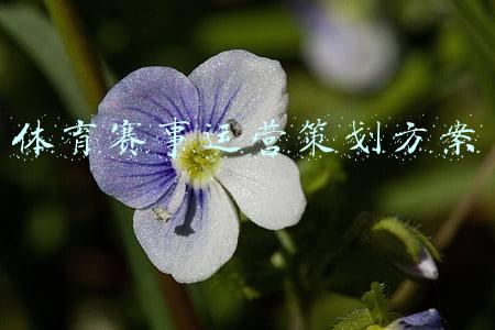 体育赛事运营模式(探索大型体育场馆可持续运营模式，东方体育中心有了冠名商)