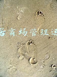 家居商场管理运营