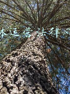 自媒体运营管理(双峰农商银行组织召开自媒体运营管理工作会议)