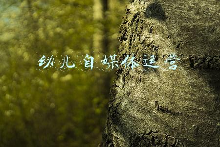 幼儿自媒体运营