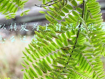 怎么注册自媒体账号(一步一步教你怎么注册10个自媒体平台，开启自媒体之路（干货）2)
