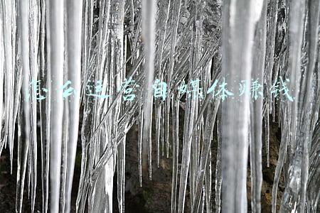 怎么运营自媒体赚钱