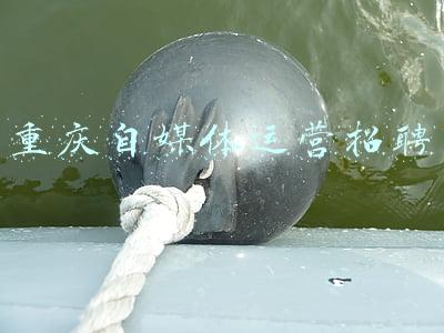 重庆自媒体运营招聘