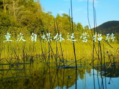 重庆融媒体中心招聘(重庆科技报融媒体招人啦！)