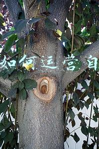 医院如何运营自媒体