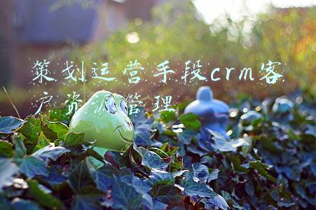 策划运营手段crm客户资源管理