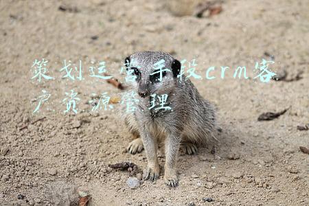 策划运营手段crm客户资源管理