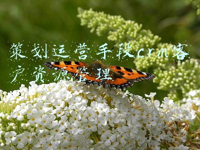 策划运营手段crm客户资源管理