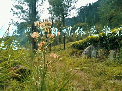 百度自媒体平台注册(个人如何申请搜狐自媒体（重点流程）)