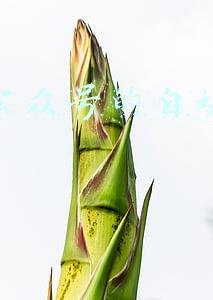 运营公众号的自媒体公司