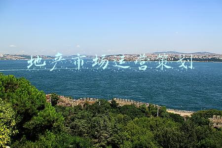 地产市场运营策划