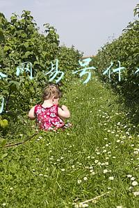 怎样注册网易号的自媒体平台(多家自媒体平台注册体验)