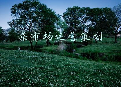 菜市场运营策划