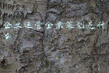 企业运营全案策划是什么