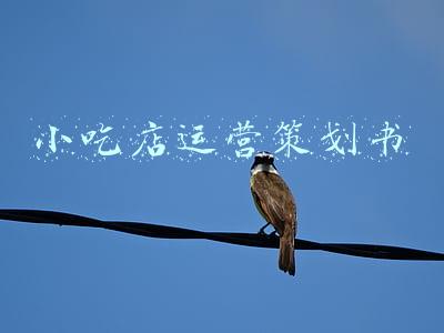 小吃店运营策划书