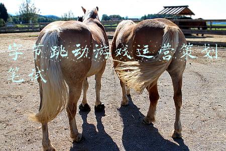 字节跳动游戏策划待遇(不完整收录：过去一年字节开源的10个项目丨字节技术年货)