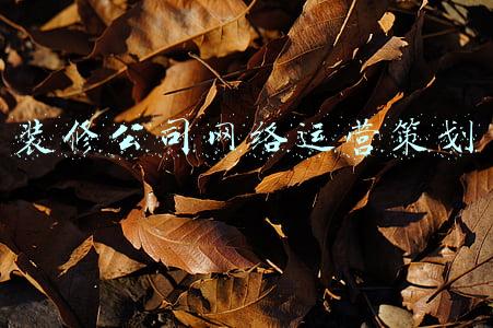 装修公司网络运营策划