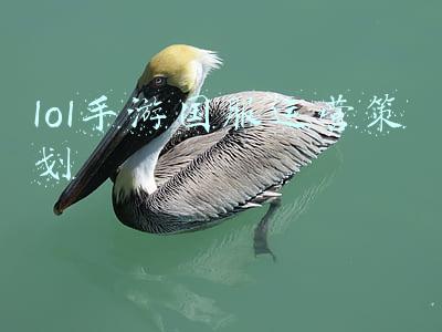 英雄联盟国服策划是谁(策划看了都想削，LOL手游中韩赛国服哥制霸，诺手神操作让VN绝望)