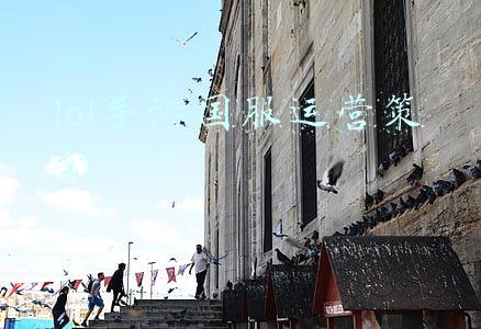 lol手游国服最新消息(重磅！LOL手游国服今日上线，英雄免费皮肤玩就送，拳头格局打开)