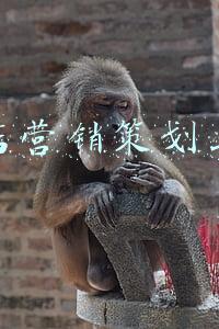 米线店营销策划与运营
