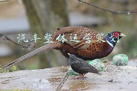 汽车整体压铸(汽车行业专题研究报告：一体化压铸，车身制造全新革命)