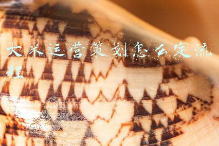 大米策划方案(涟水县召开高沟大米加工生产项目规划设计和品牌策划方案汇报会)