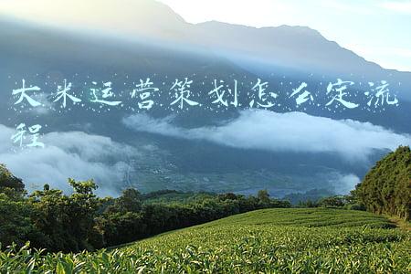 大米运营策划怎么定流程