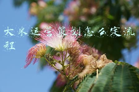 大米运营策划怎么定流程