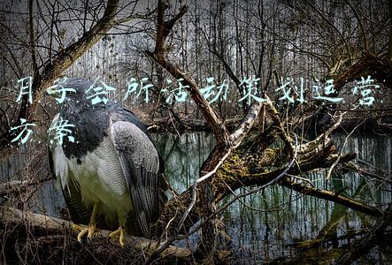 月子会所开业活动方案(月子中心全年活动方案：月子会所开业策划方案与月子中心拓客方案)