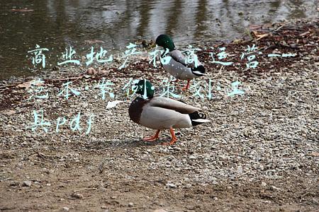 商业地产招商运营工作内容(​连锁招商运营手册的编写要点)