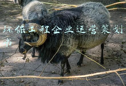 环保活动宣传策划书(环卫宣传工作方案)