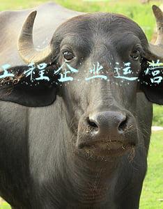 环保工程企业账务处理(2021年中级会计实务考试会计分录大全（考生收藏）)