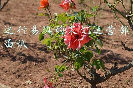 易班宣传部面试(陕西科技大学“一优两聚三用”加强易班建设显实效)