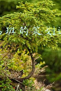 进行易班的策划运营部面试