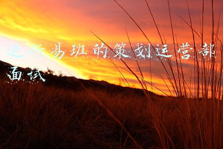 进行易班的策划运营部面试