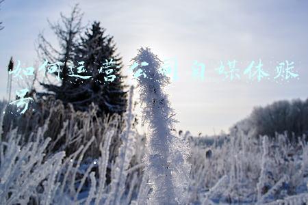注册自媒体账号的公司(假冒CCTV以监督之名敲诈勒索企业，“三假”典型案例公布)