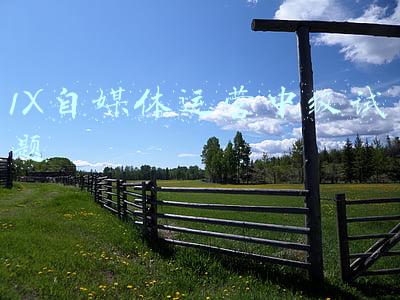 新媒体制作与运营考试题库(北京关停63家、罚款1500万，培训学校“双减”后如何求生？)
