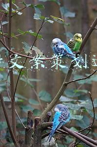 企业策划文案(公司年会策划文案模板，保证年会秩序，稳步进行)