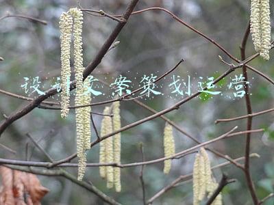 展厅设计文案策划(3个方法，教你如何梳理东莞企业展厅设计方案)