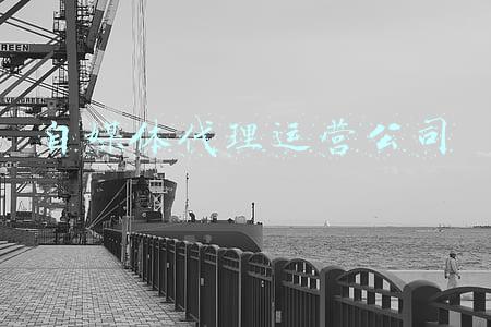 自媒体代理运营公司