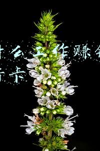 网上办银行卡(Get技能，手把手教你如何在支付宝申请银行卡)
