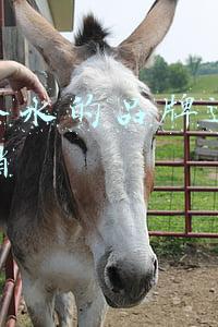 迪奥香水设计理念(Dior迪奥香氛世家大使 带你领略法式生活美学)