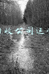 废品回收公司运营策划